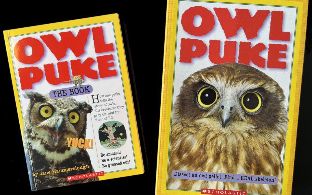 Owl Puke