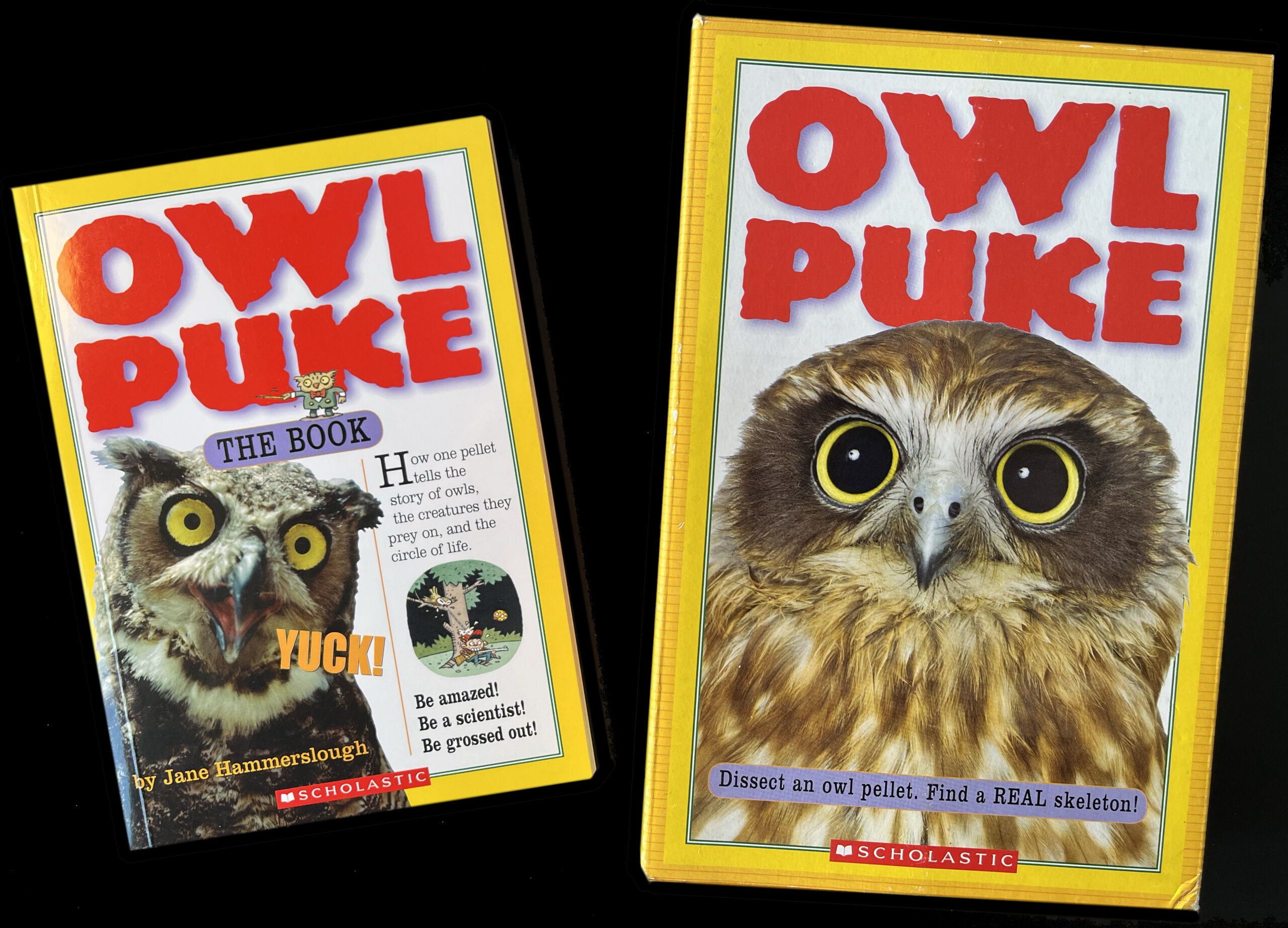 Owl Puke book & box