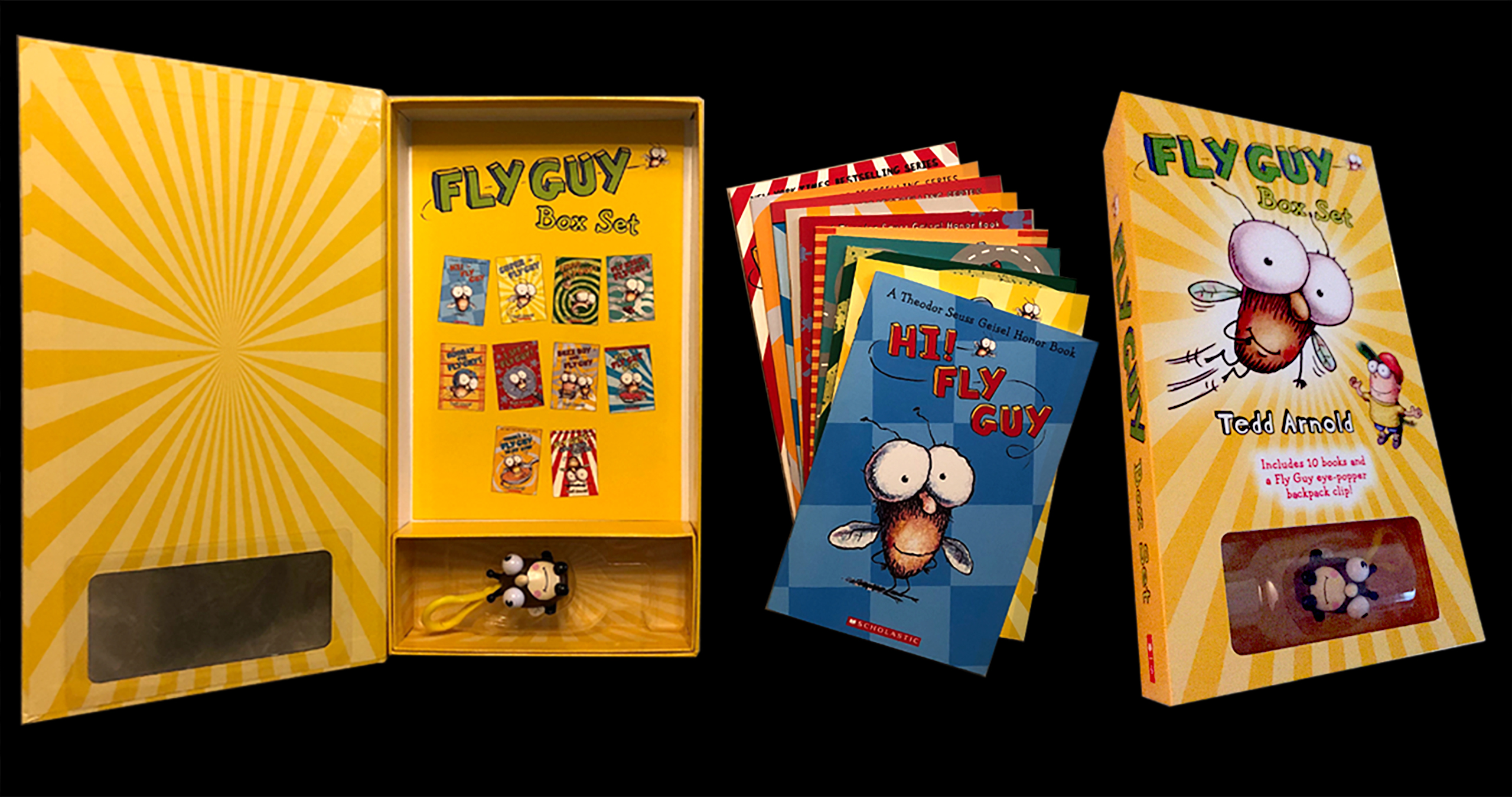 Fly Guy Collection box