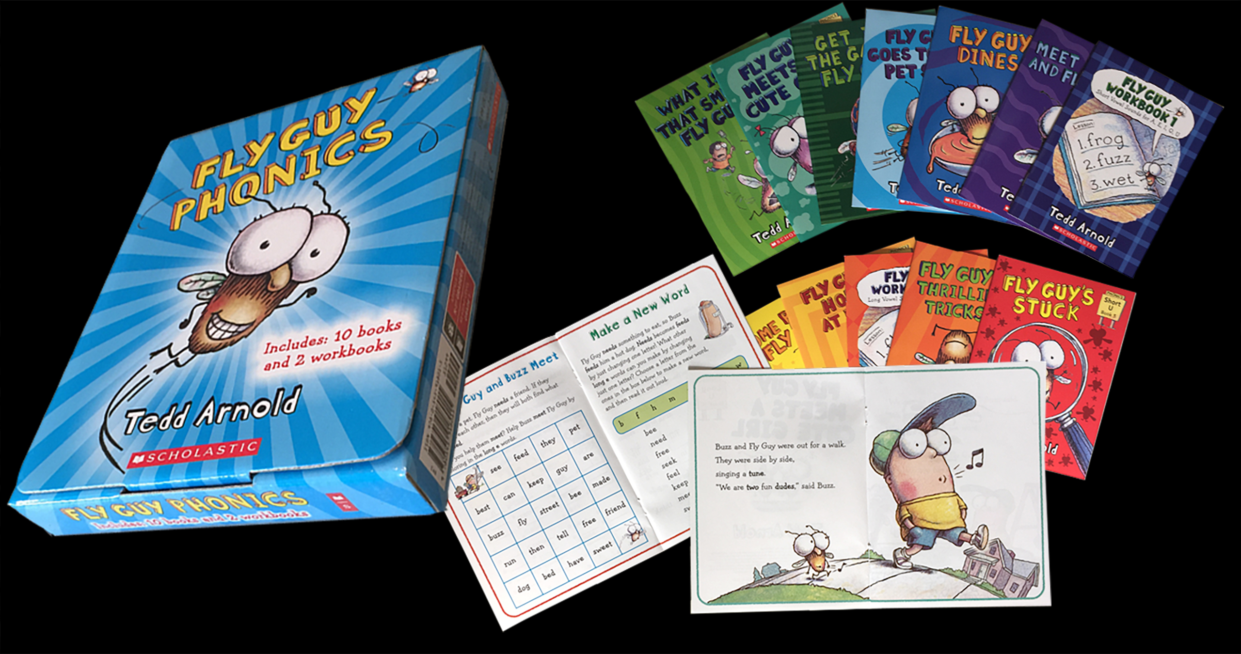 Fly Guy Phonics Box Set box